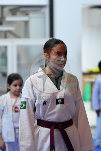 force academia taekwondo